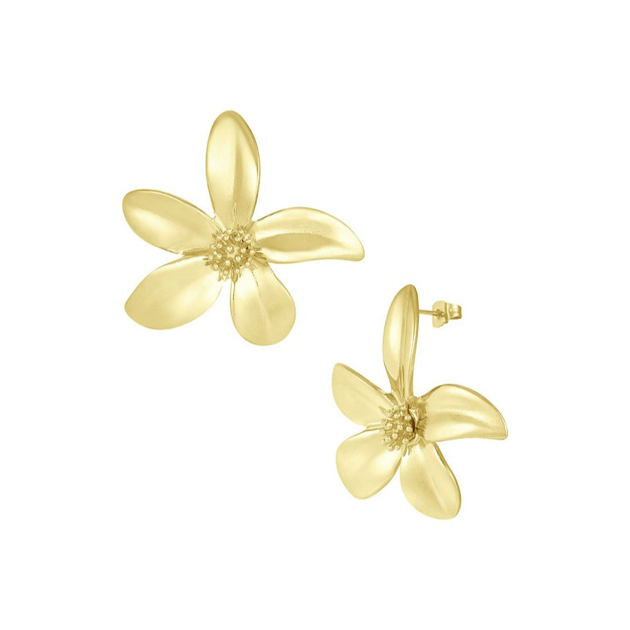 Liet & Joliet - Flower